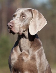 20130304_143346000_iOS