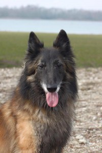 11130296_839026302801623_7983946886143249086_n